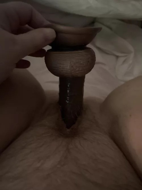 My pussy’s wet and tight and I’m craving a thick cock to replace this dildo right now. 😈 by throwaway-987123456