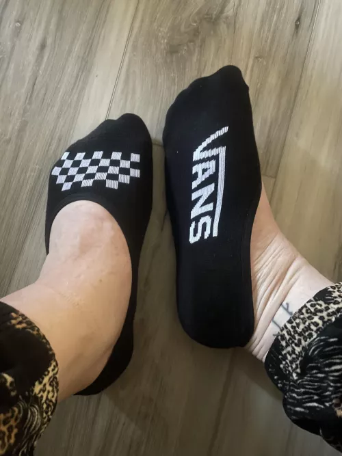 new no-shows [f] by Top_Peace_5439