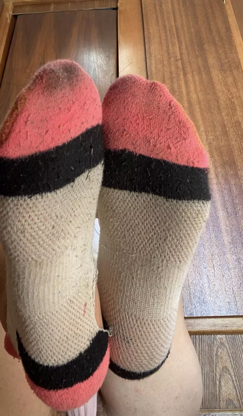[selling] used socks for sale 🥵 dm me for pricing 🥵 cash app and Venmo accepted 🥵 fetish friendly posted by NeighborhoodMean7479