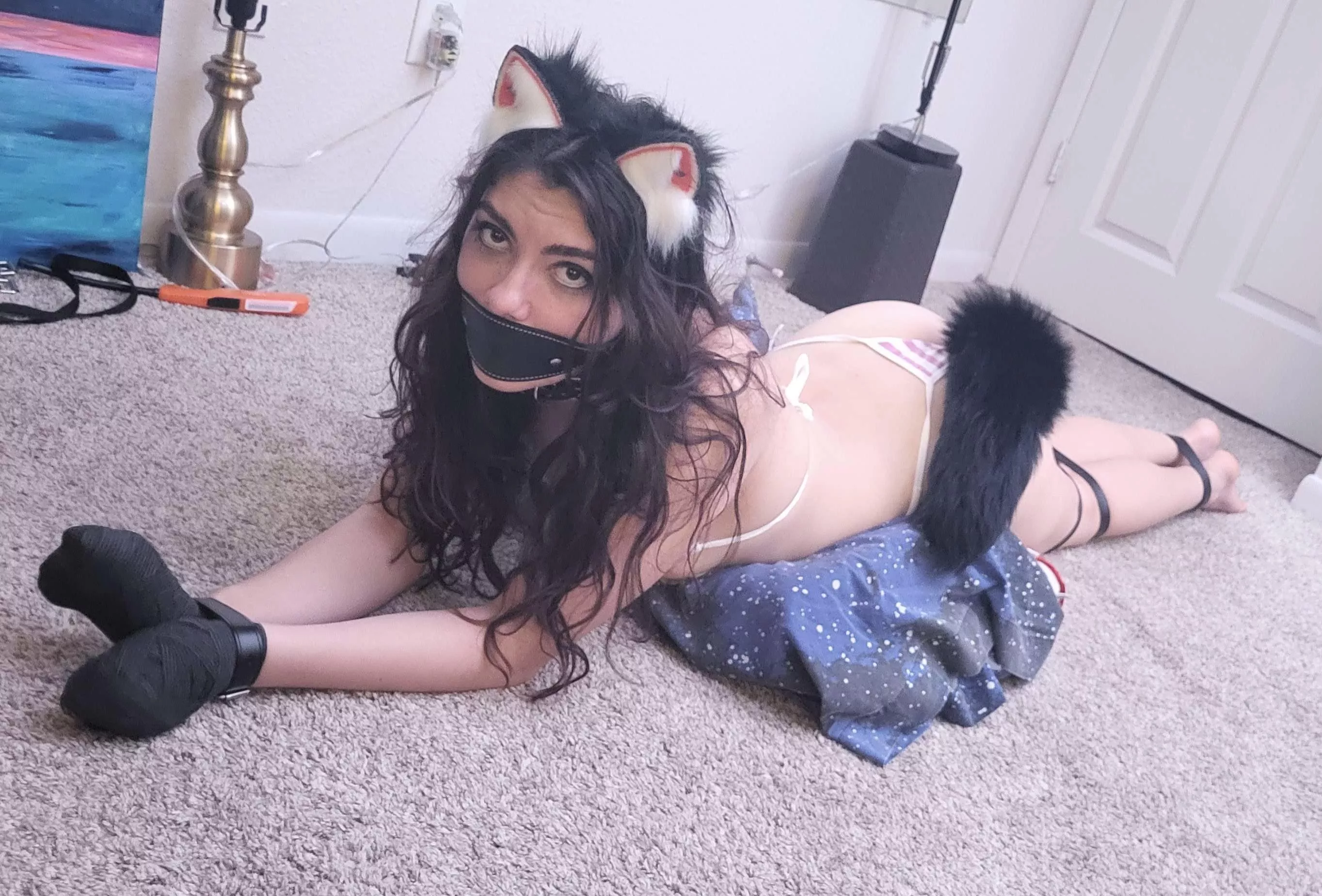 Tied up kitten with panel gag and wrapped up hands posted by calculatedflower