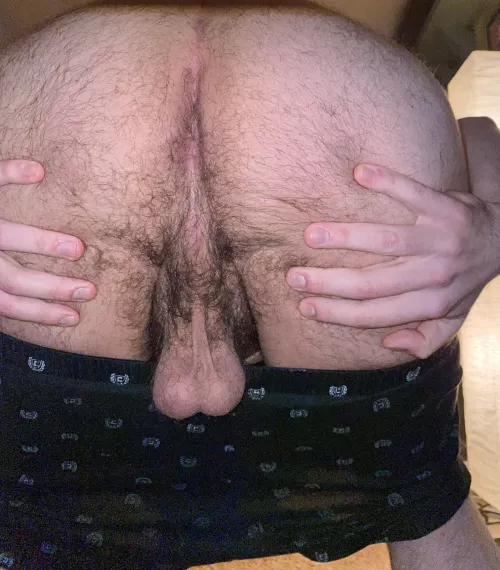 Up late and horny, can’t stop thinking about how bad I wanna get mounted and have my ass filled by Jolly_Hat_6560