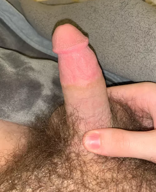 Who likes hairy teen cocks? 18 by Hefty_Warthog4403