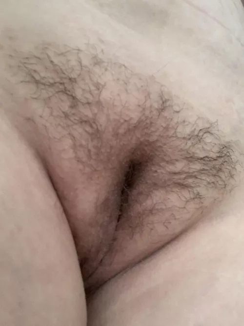 Who wants taste this bush by Lina_30