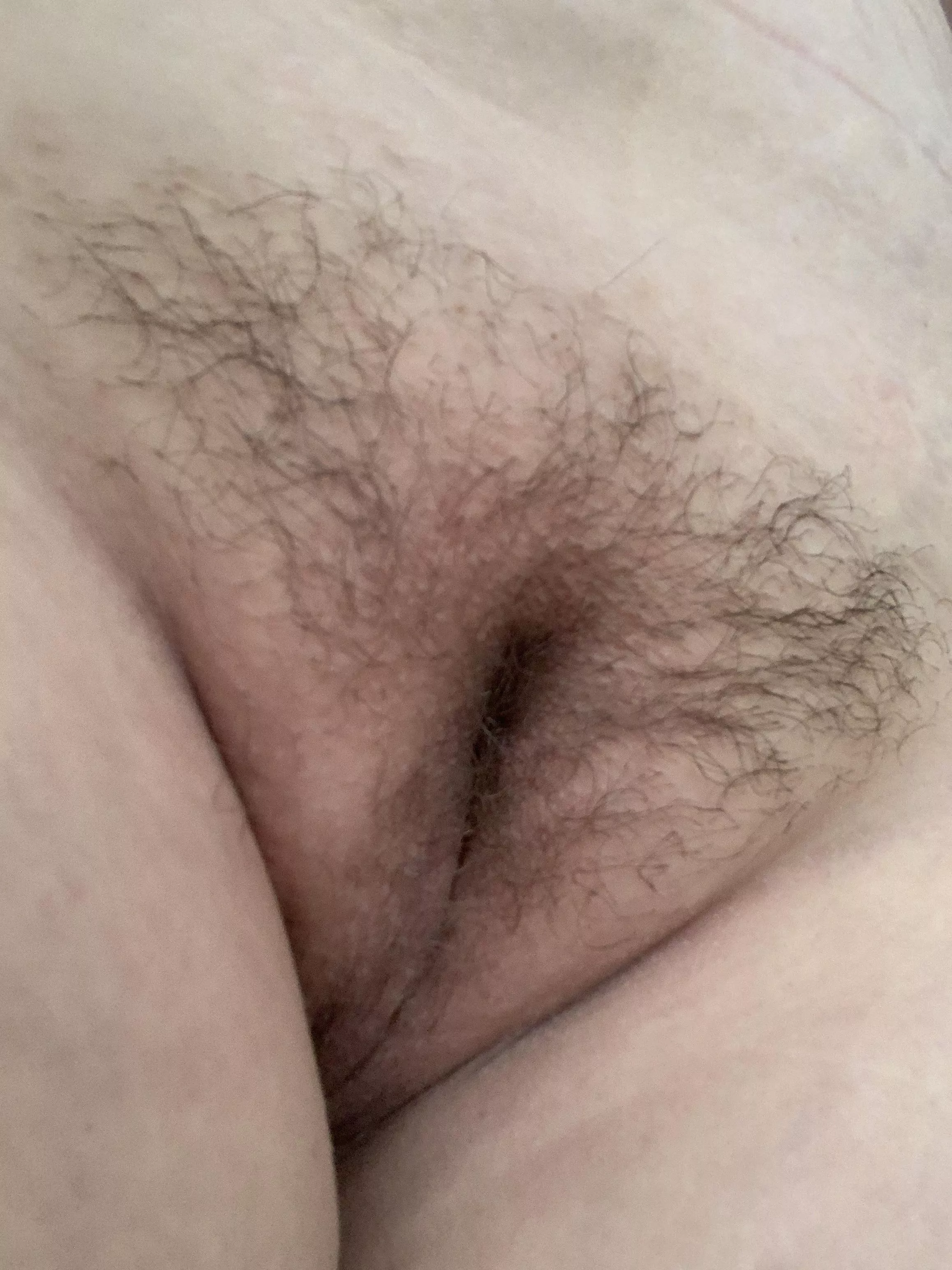 Who wants taste this bush posted by Lina_30