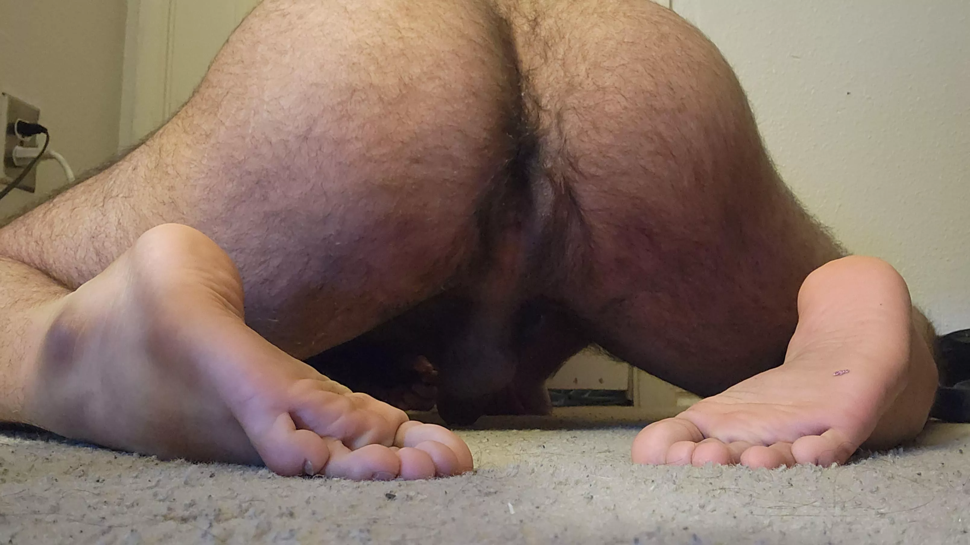 Who wants to break me in? posted by MachinaRevamp