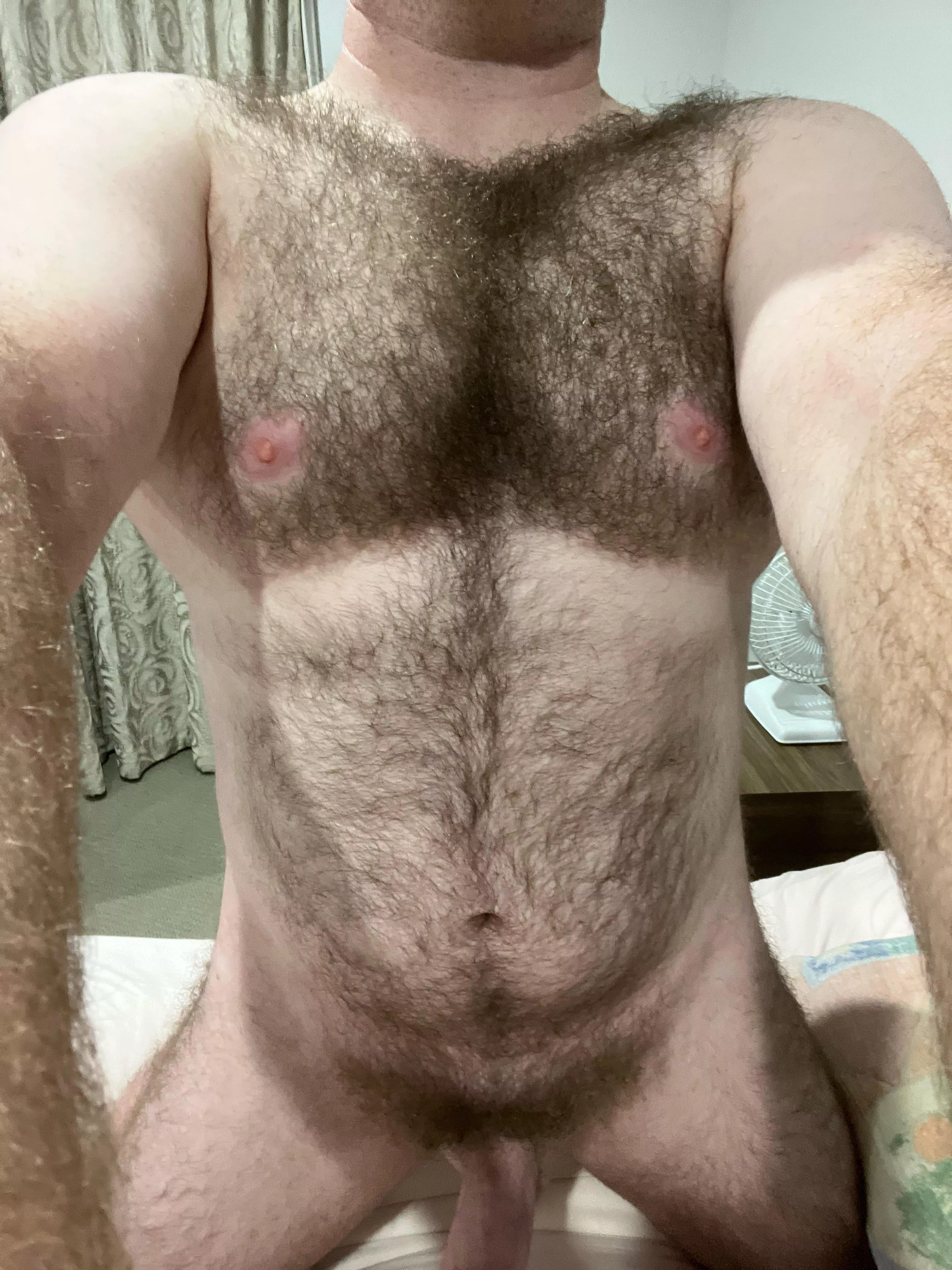 35 uncut hairy dm sc posted by tedgre