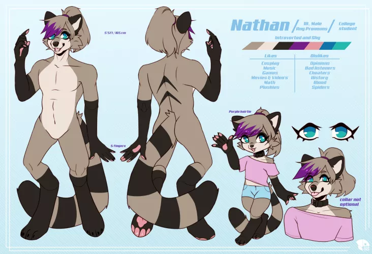 AMA about my sona (might get drawn) by Nathan_Raccoon