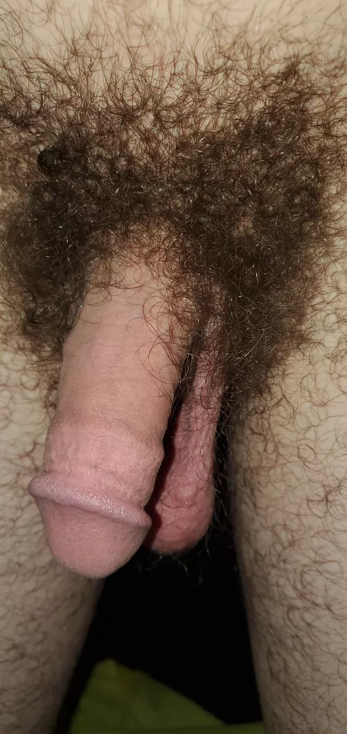 Bored and horny [36] Sometimes my messages don't work here, might have to send messages to my Kik. JaguarPaw420 by HeWatchedTheSky