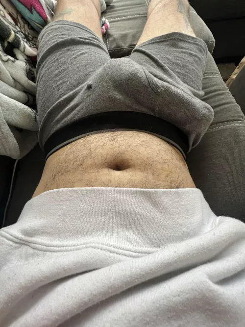 Can I stretch you like these boxers? by catsanddogsandlogs