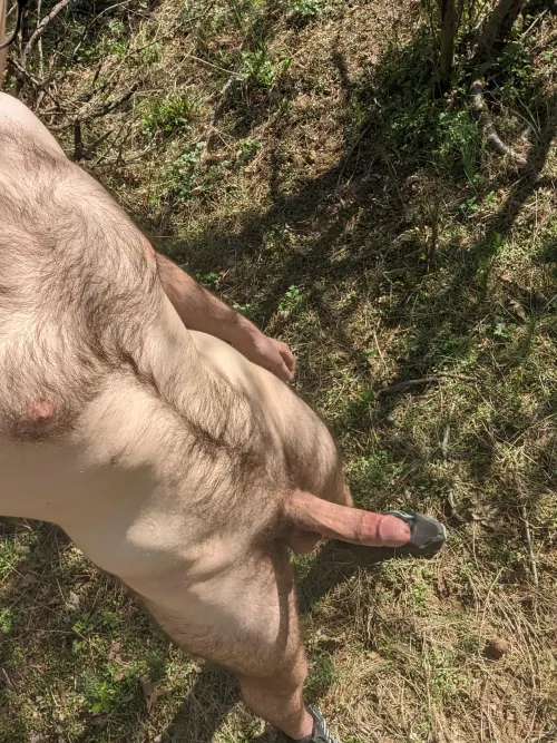 Cock out hiking earlier today (18) by Away_Material1086