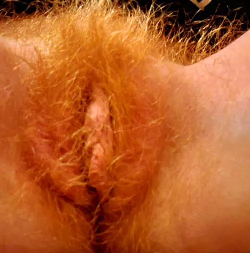 Firecrotch by ababypinecone