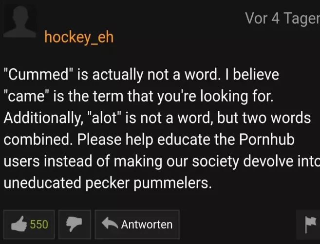 Found this Grammer Nazi on pornhub by airtightFemur