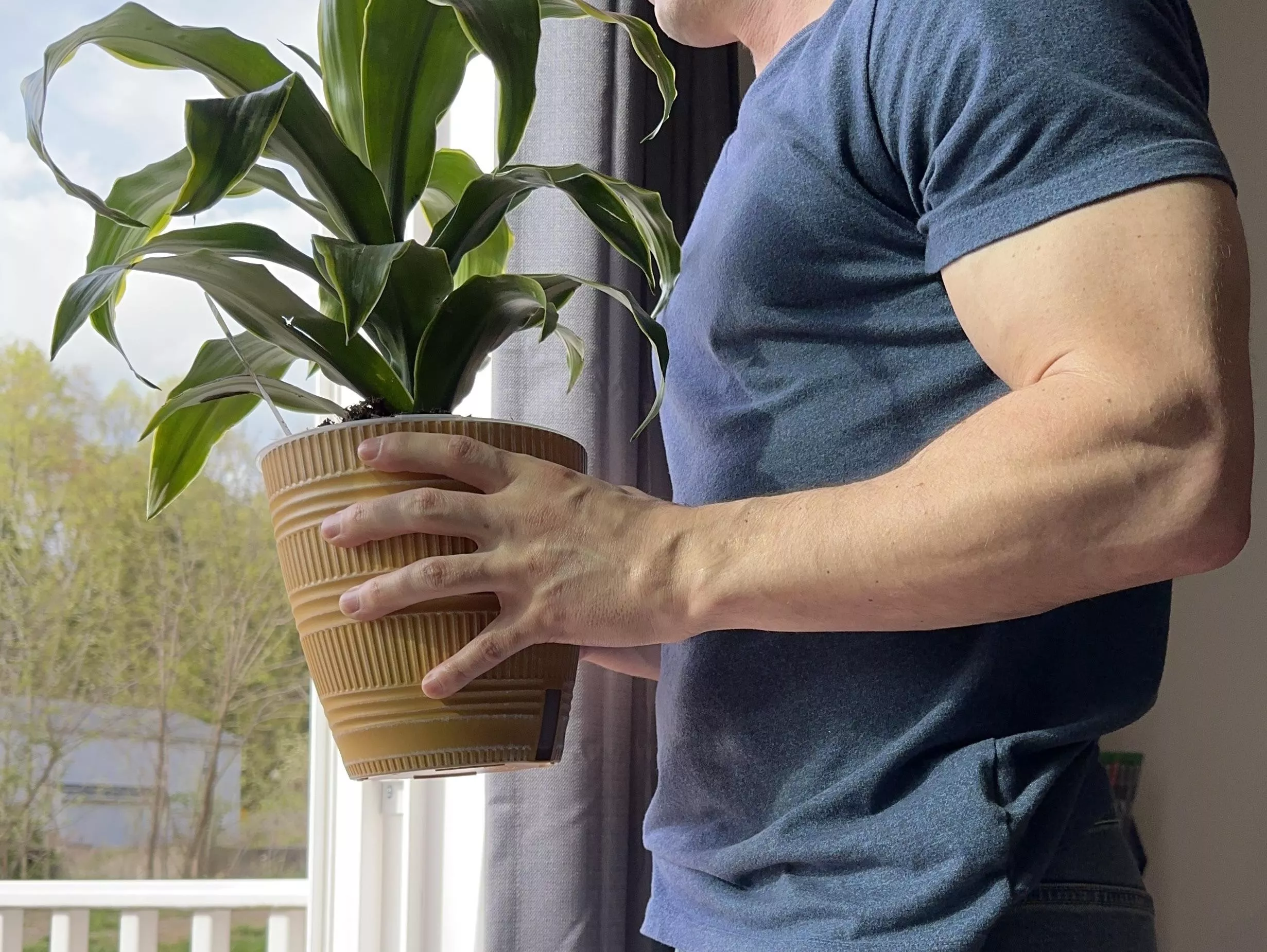 Getting some sun posted by BanChampion