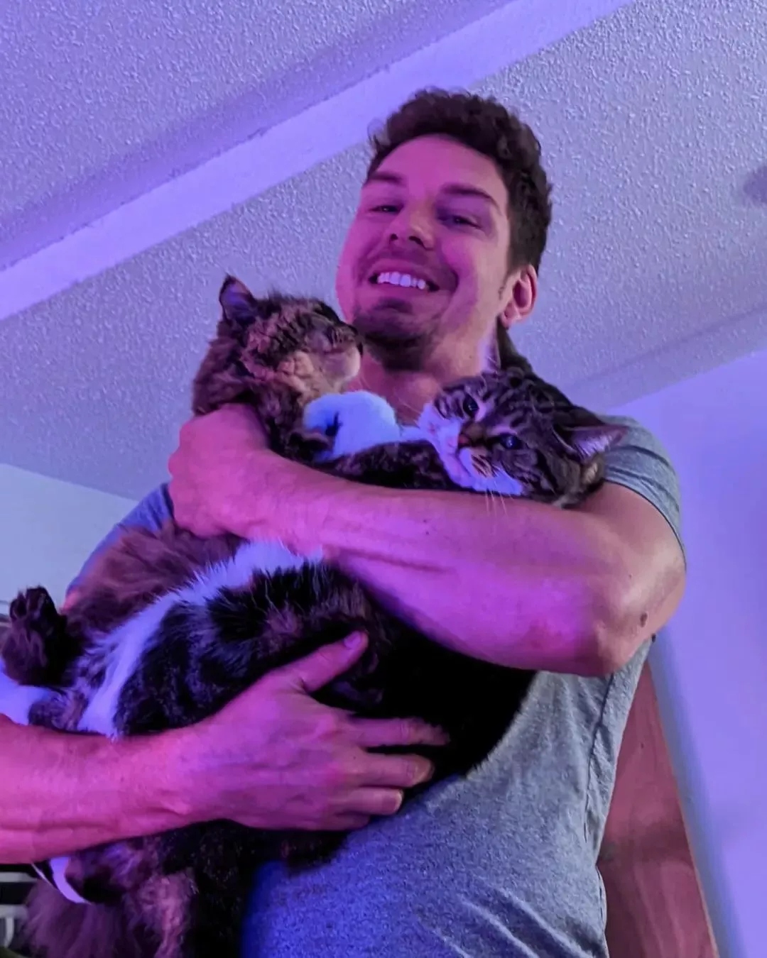 Happy Caturday 😽 posted by DeepFriedHooker