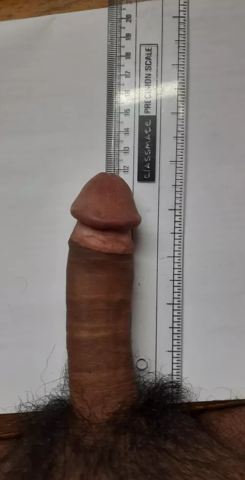 I swear its average ;-; by Disastrous-County850