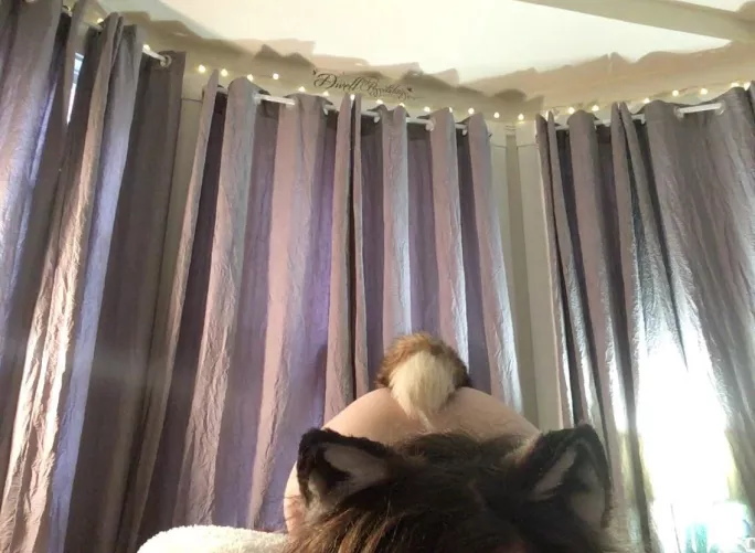 Lil Fox by xofelttil