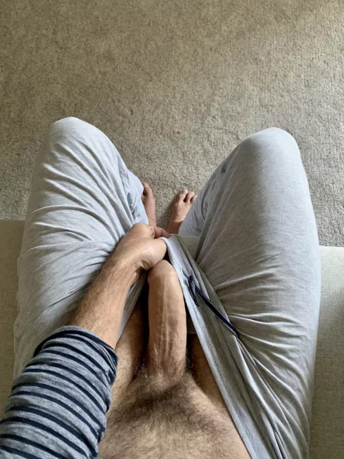 Morning stretches by MenloBull