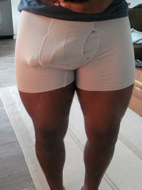 Nothing Short of Predominant? by GnattyIce