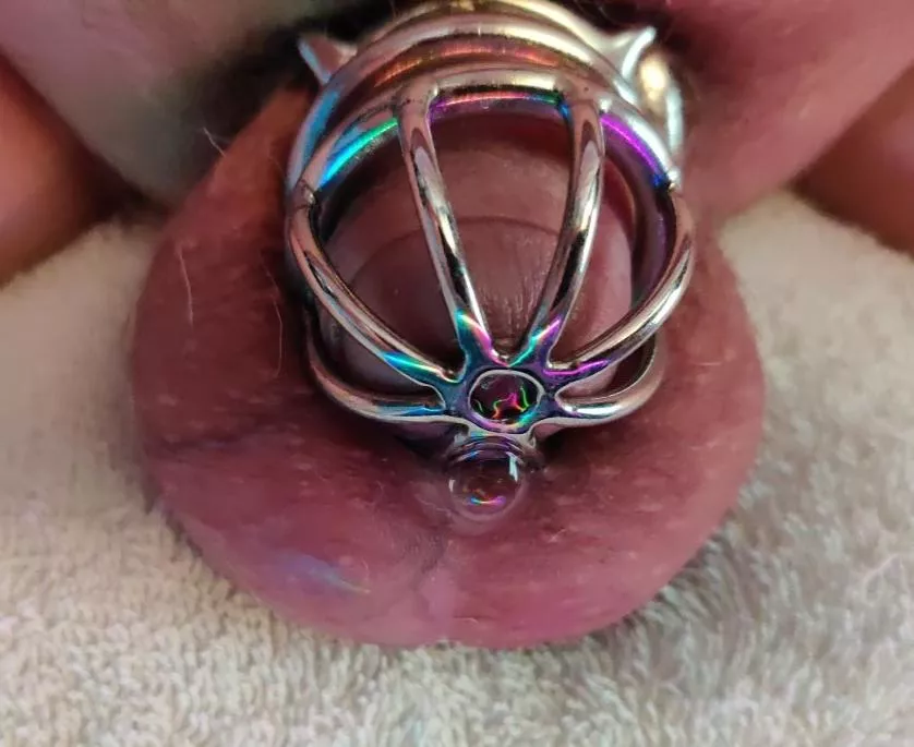 Precum bubbles while grinding on a butt plug! posted by Candyy_Cream