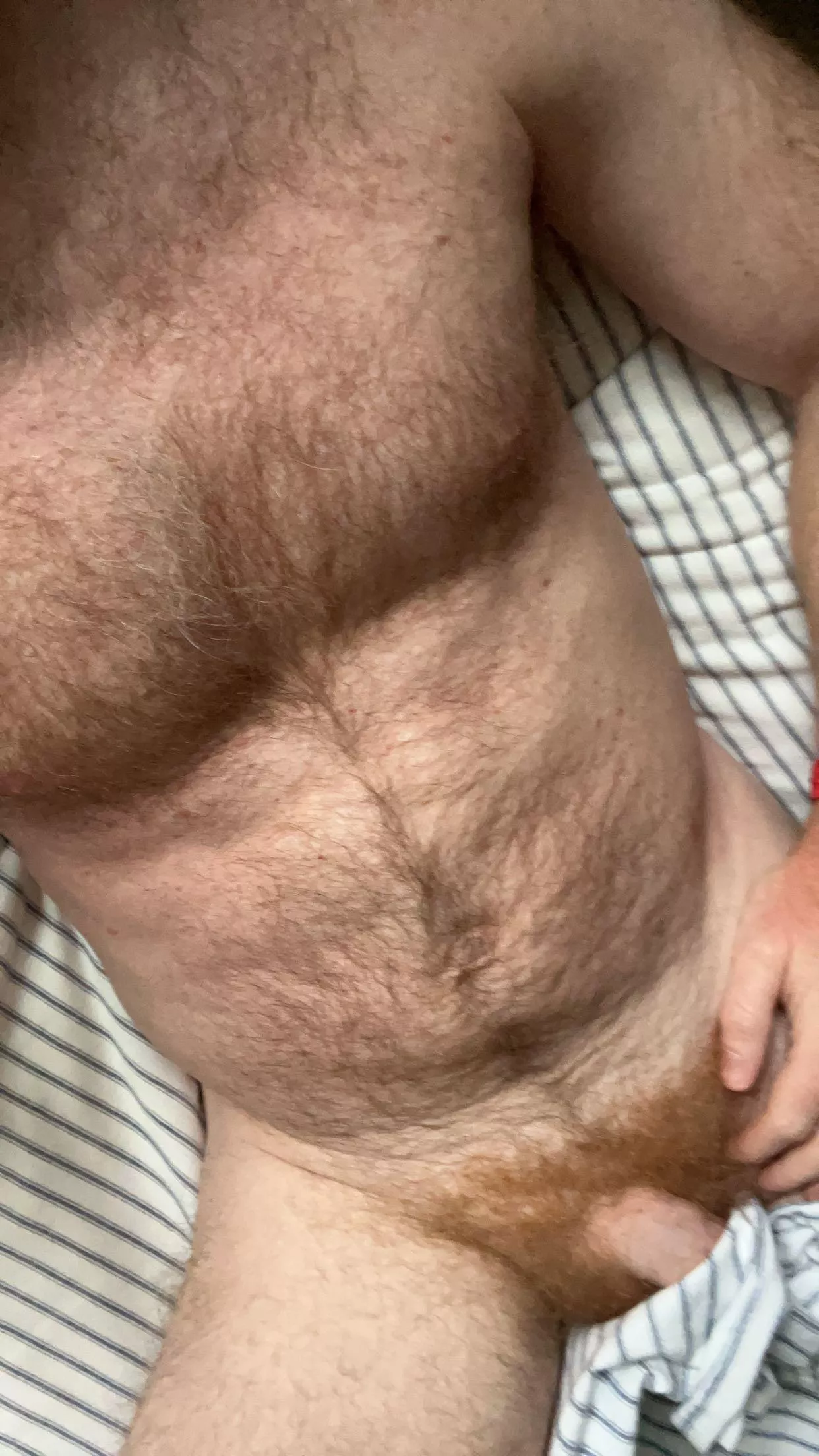 Pull the sheet back with your teeth [44] posted by SomeOtterGuy4