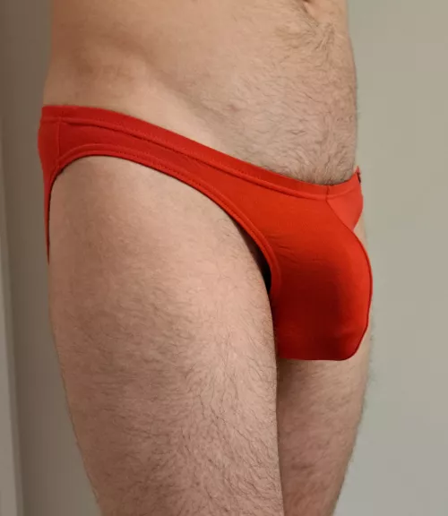 Red briefs bulge! by tawy000