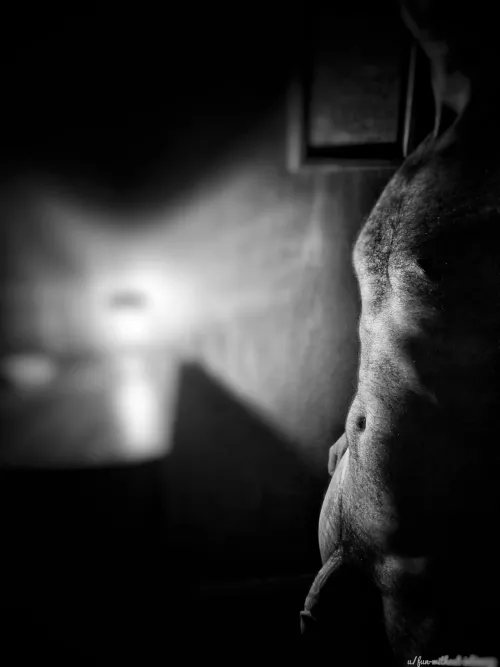 Shadows in the night by Fun-Without-Intimacy