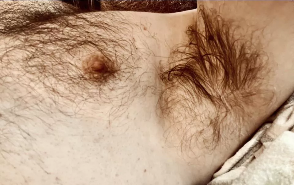 Spring is here, pits are out posted by He_Too_Is_Alexander