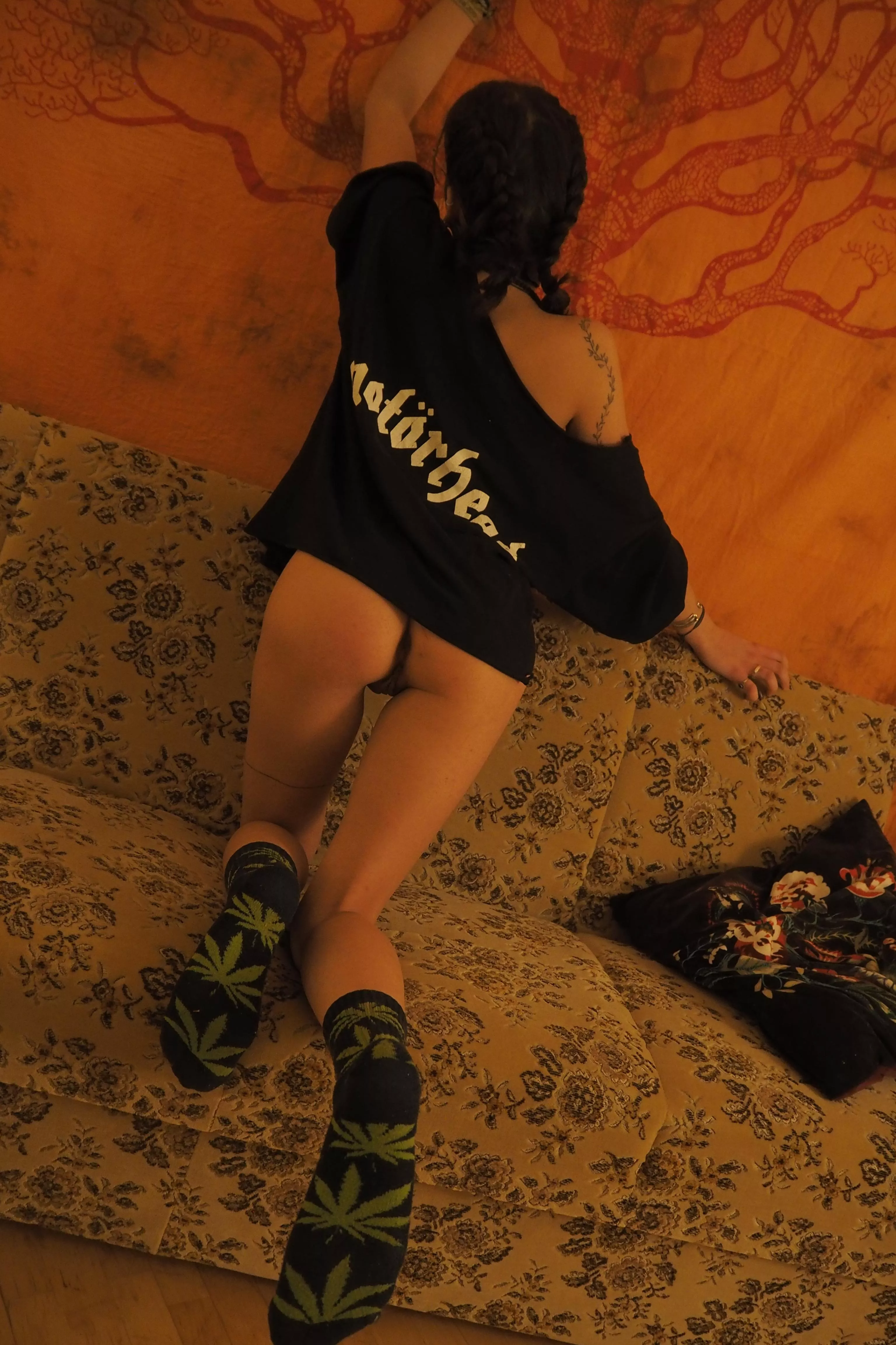 These socks are truly wild :p [F] posted by MalBeehave