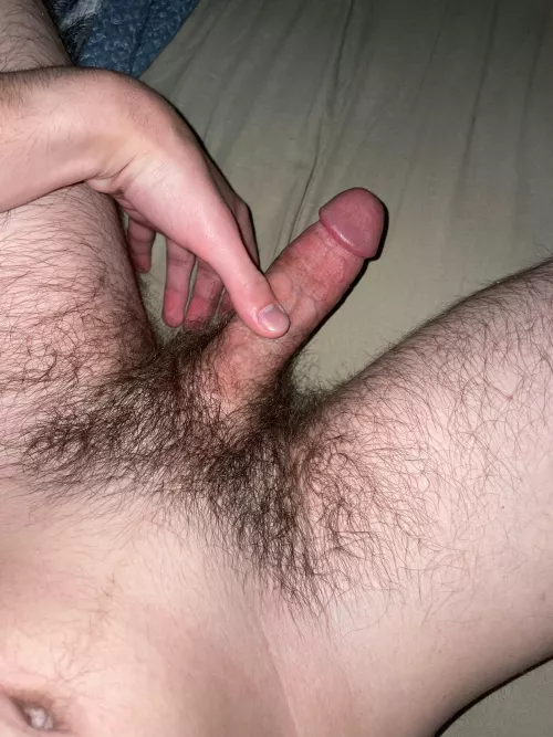 What do you guys think about my morning wood by OneOutlandishness656