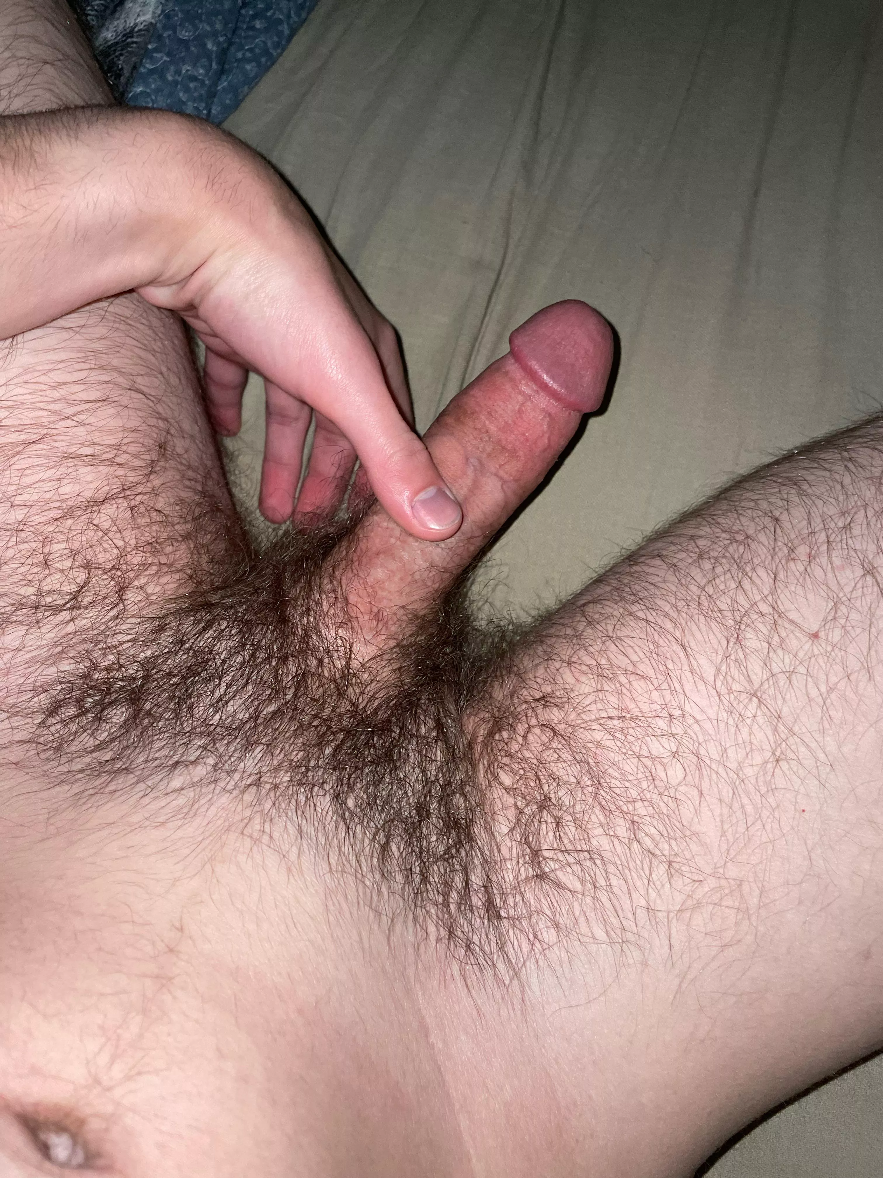 What do you guys think about my morning wood posted by OneOutlandishness656
