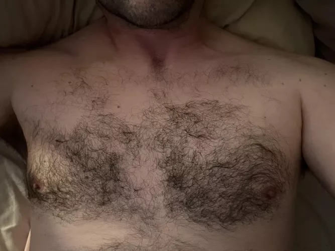 Widescreen by mountainfurr