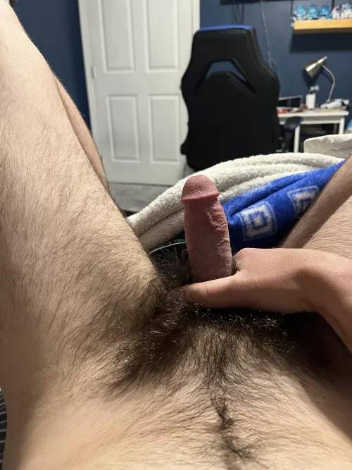 [22] Anyone wanna trade with a hairy average cock? Hmu. Snap: j_jp008 by OnePossibility4804