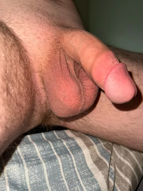 Balls or cock to be sucked first? by WinnerFresh9297
