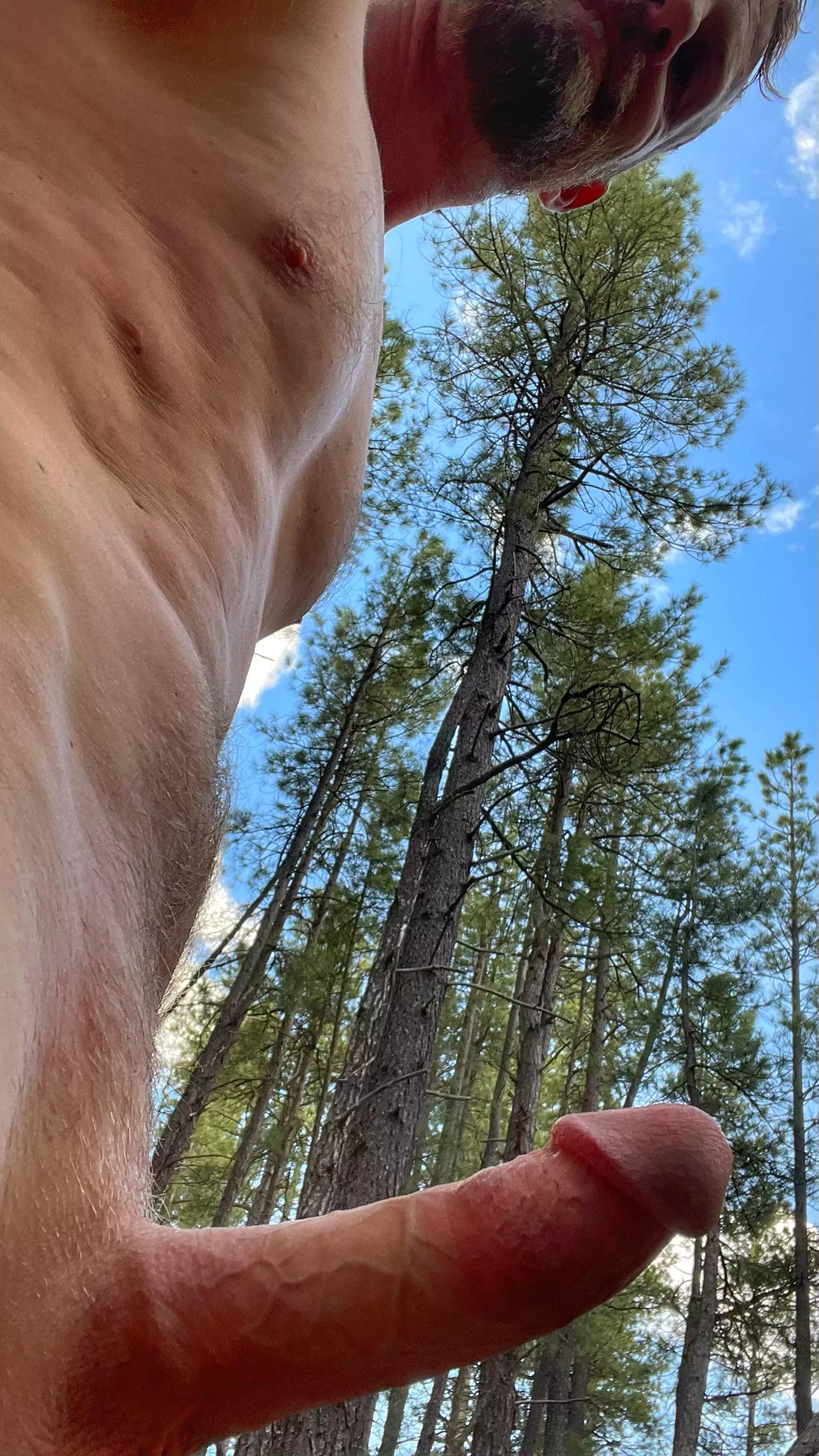 Bouncing around in the woods posted by neverready13