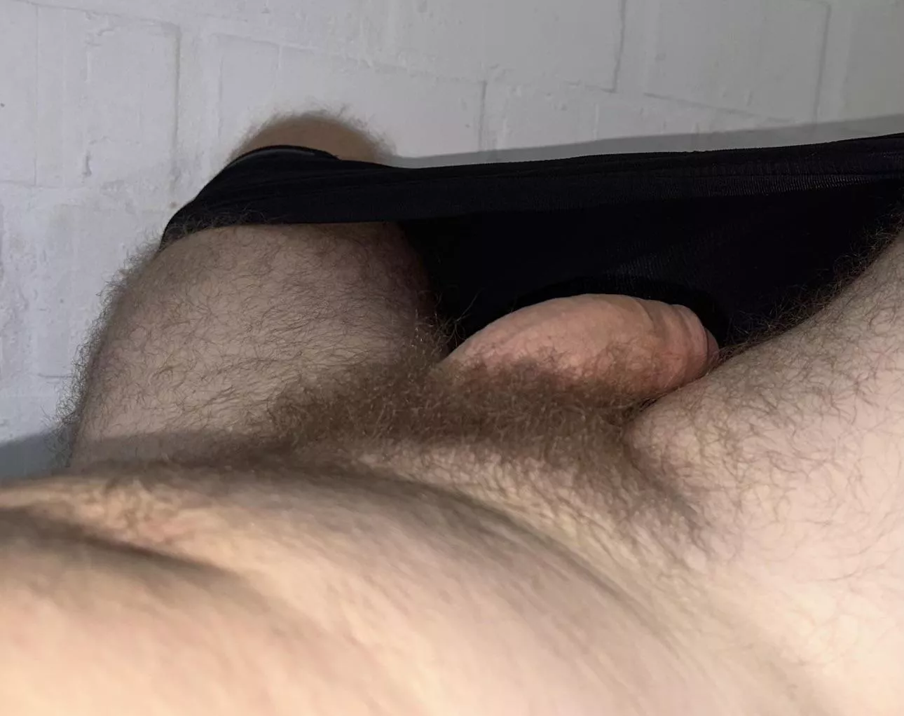 Bushy posted by W_____0_____W