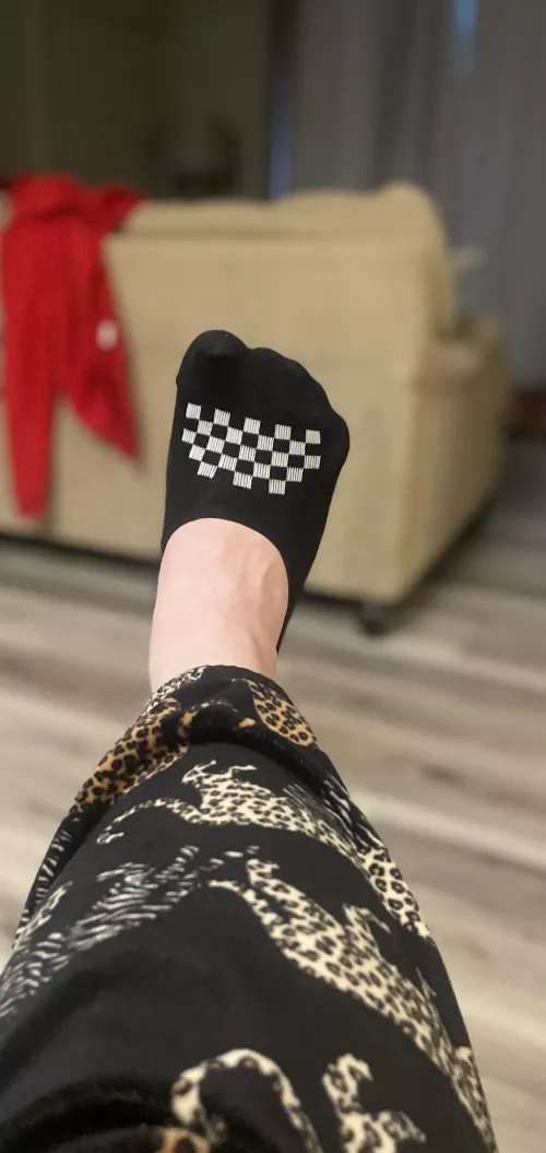 Care to sniff my no-shows? [selling] by Top_Peace_5439