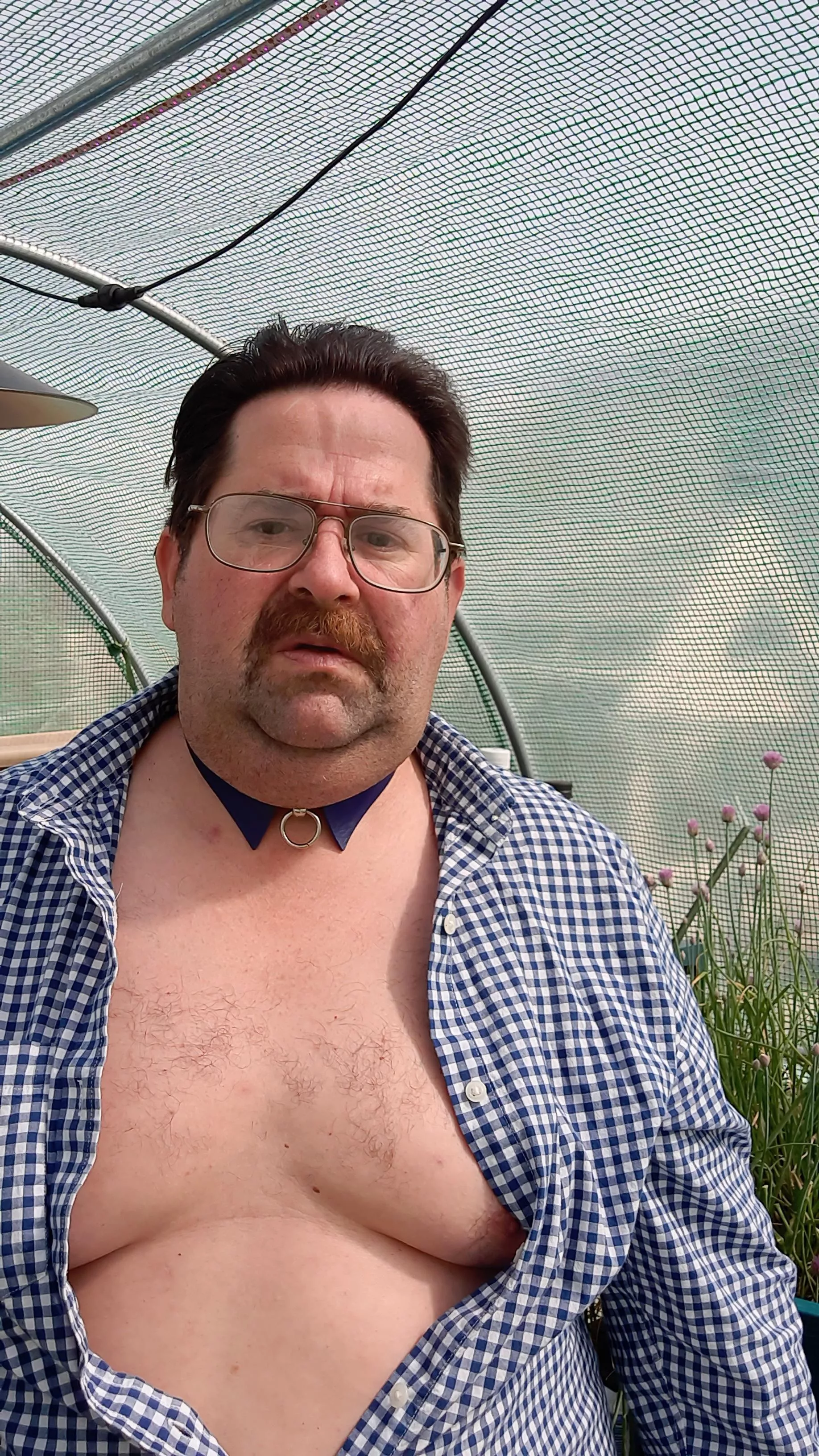 Daddy would love have fun posted by chubbyrich