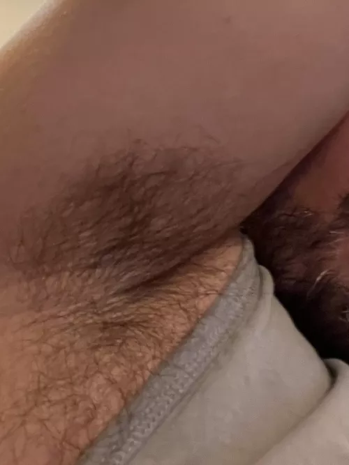 Dive in! by Competitive_Cry8028