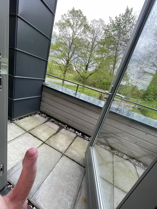 Does this count? Secretly i hope people look at me from the road🤭 by malseman12