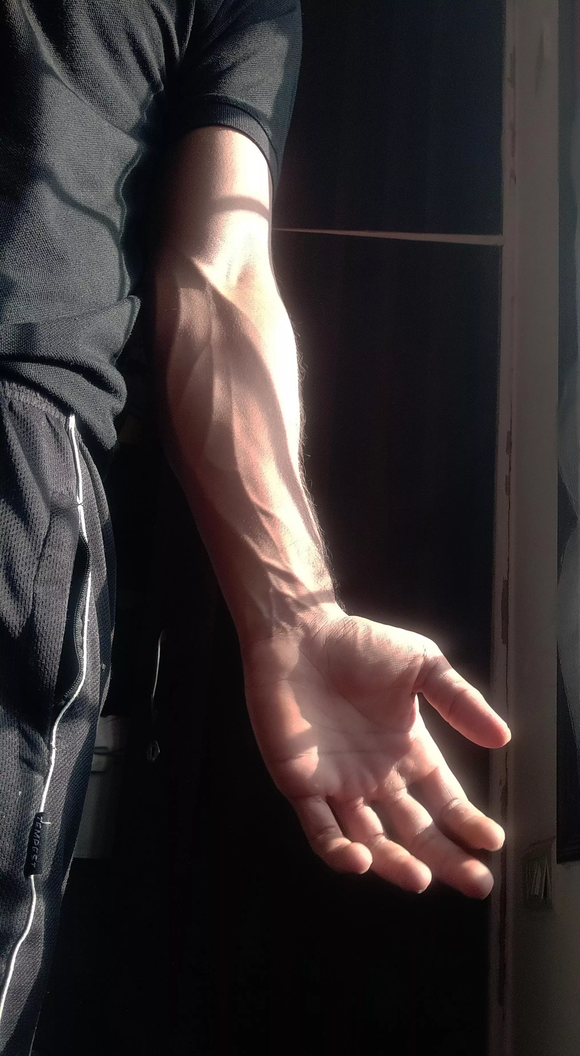 golden hour posted by randomlyyhere