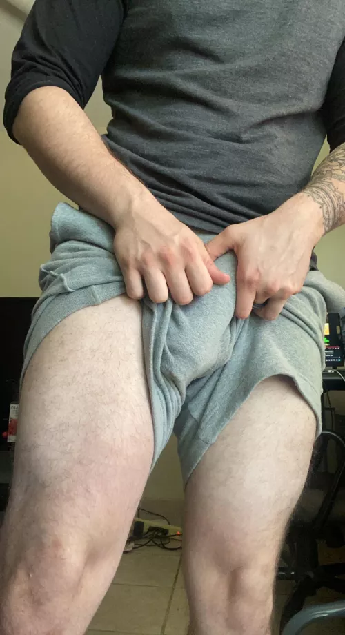 Grey Shorts ;) by Illustrious-Rate4163