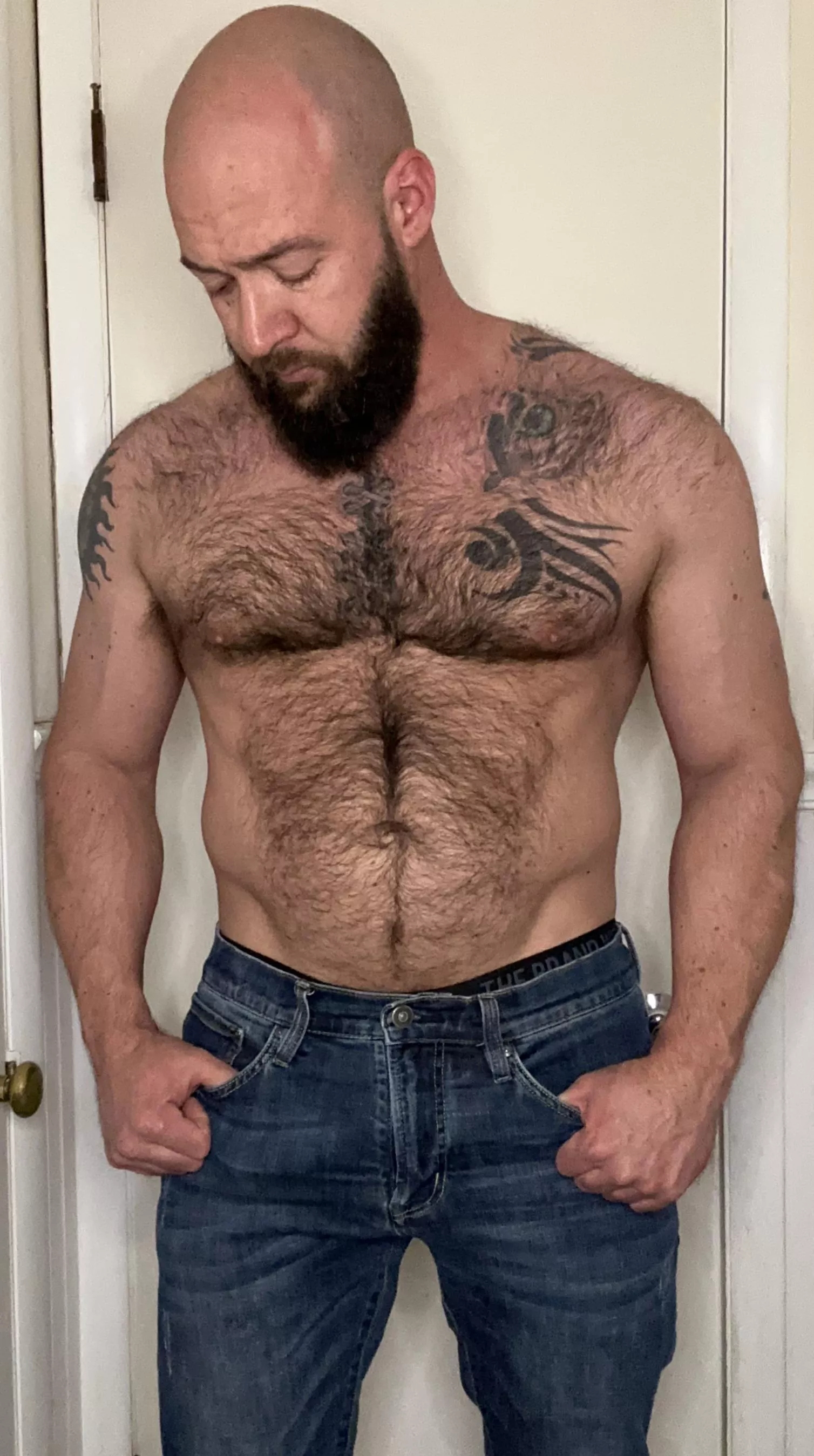 Hairy chesticles posted by Windycitydxxx