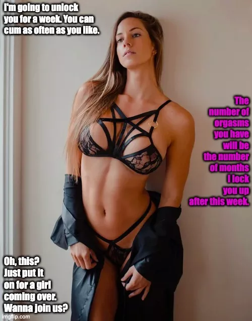 How will you spend the week? posted by ZinguBing