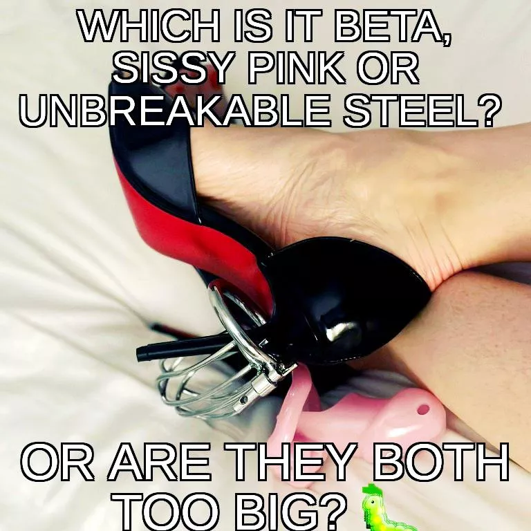 I think we both know the answer, don't we? 😏 posted by Churchkitty