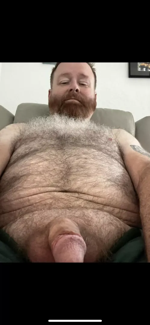 Just a bear in Texas posted by Beartxhairy
