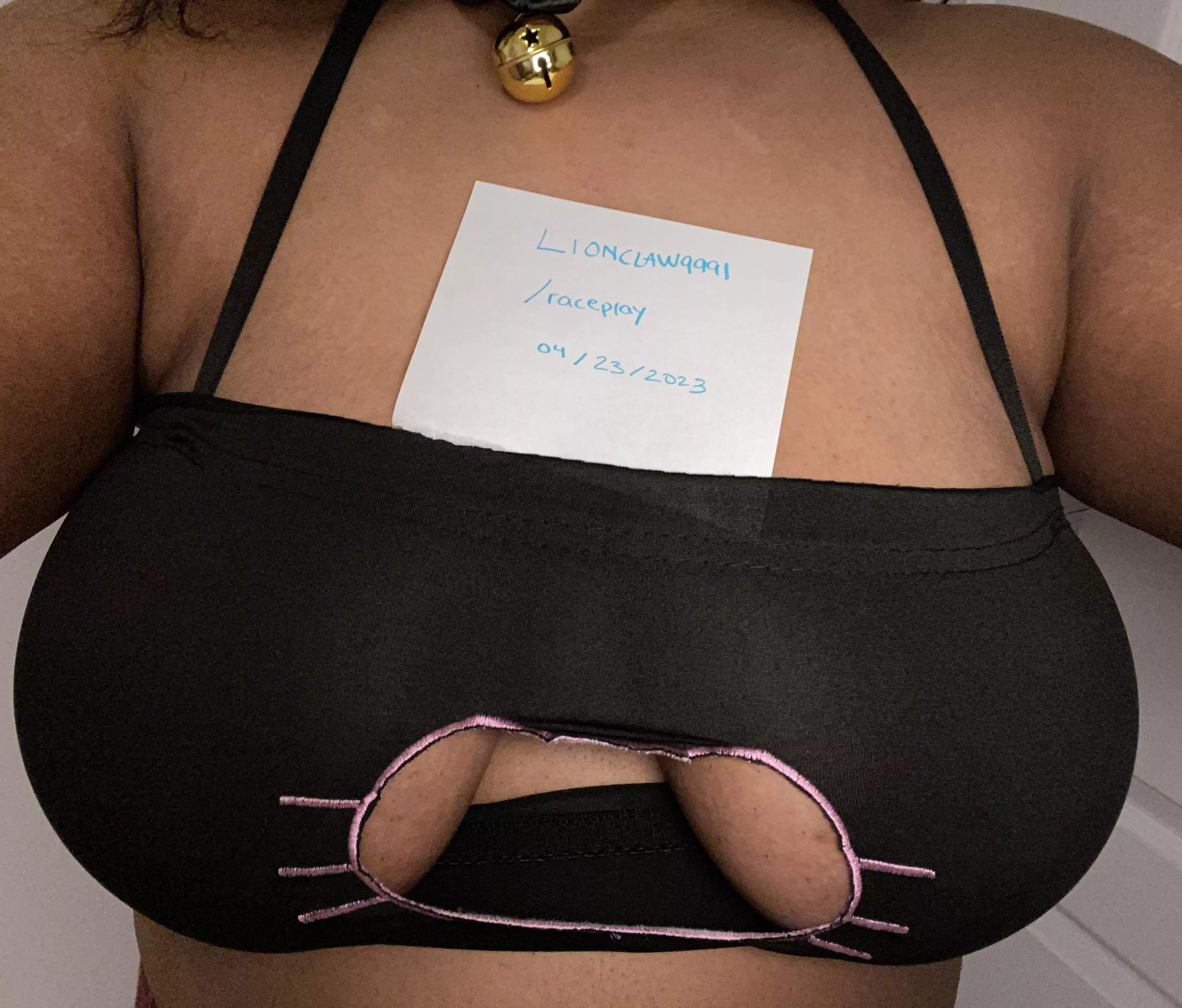 little kitty verification!! posted by Lionclaw9991