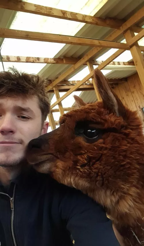 Lulu demands attention! by BrbMakingACuppaT