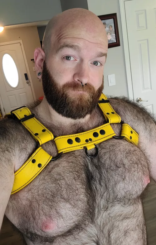 My eyes are up here. ^^ by Cortair22