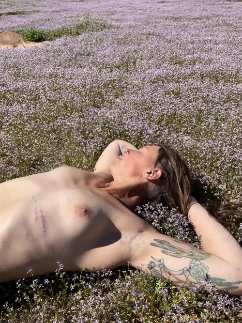 Naptime 😈 by Nature-nuts