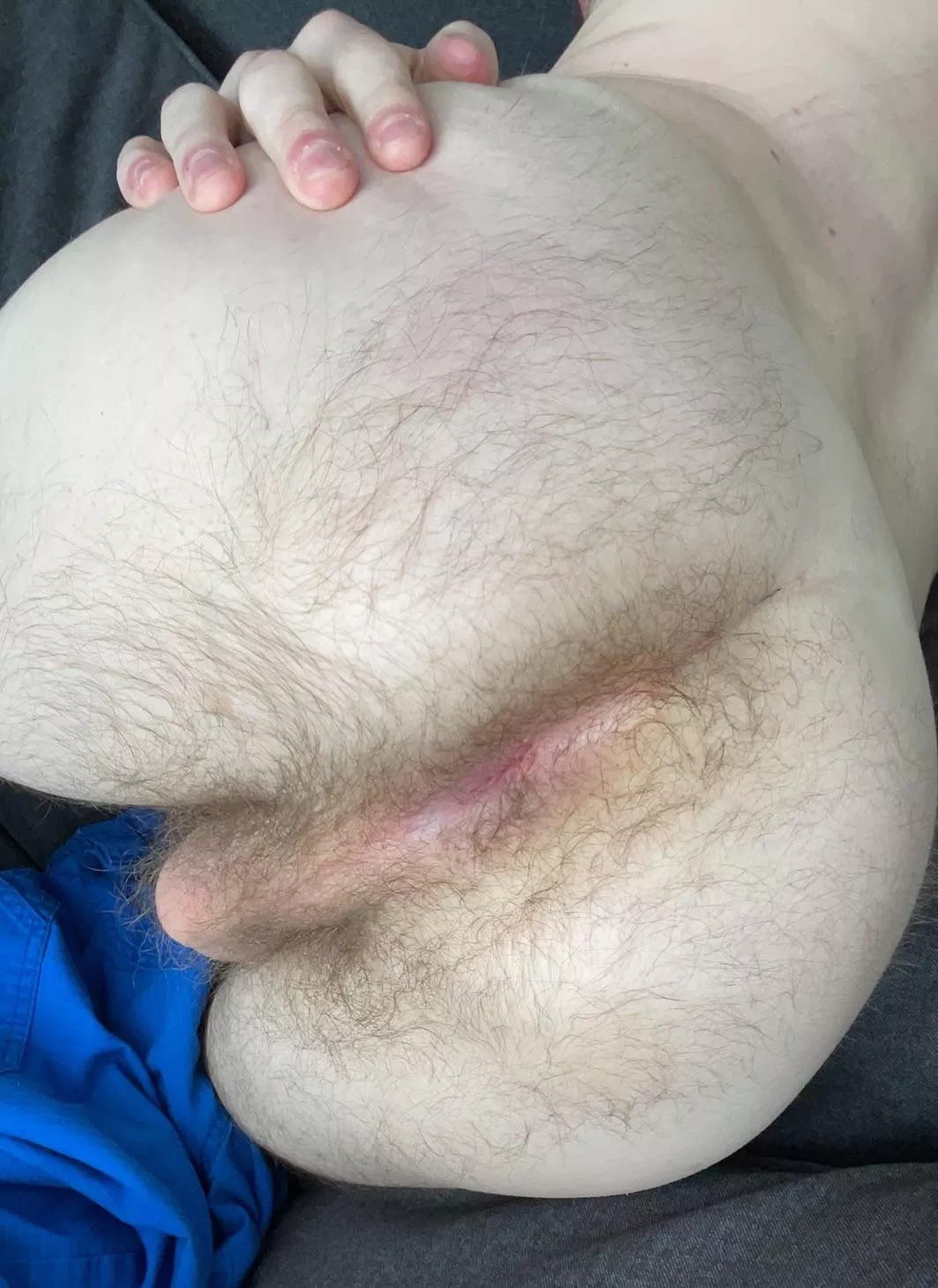 Needs some affectionate attention posted by adamallday14